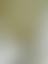 Wendell, Chris and Me