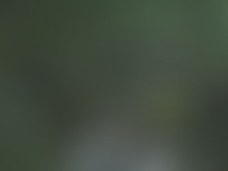 Thailand Gensyn, eventyr og ø-liv