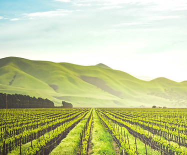 Image by Adele Payman