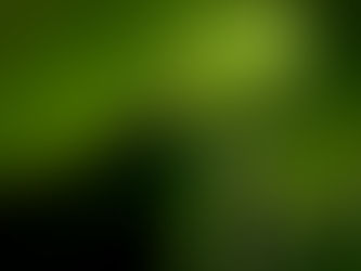 Parks Closed for Mosquito Fogging
