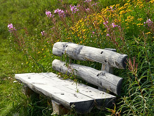 Image by Barnabas Davoti