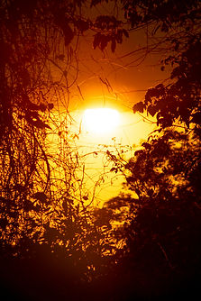 Image by Allec Gomes
