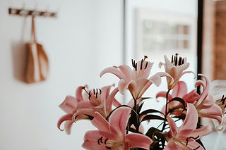 Image by Valeriia Miller
