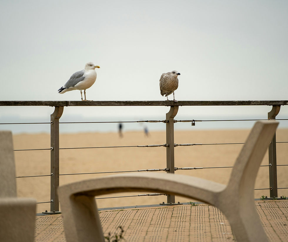 Image by Michel Stockman