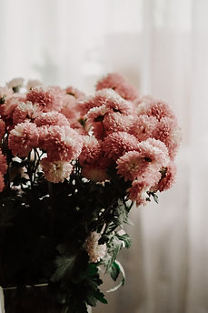 Image by Taisiia Shestopal