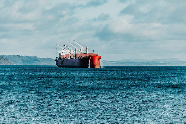 Image by Manda Hansen