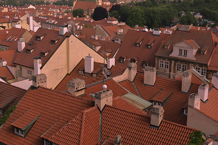 Image by Tanja Žarić