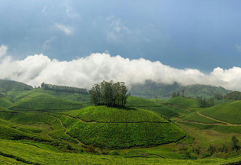 Image by penta sathwik