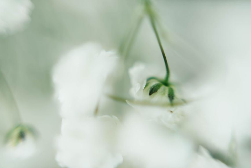 Image by CHUTTERSNAP
