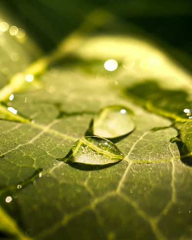 Image by Rohit Morwani