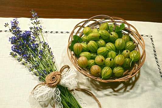 amla, indian goosberry