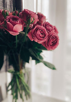 Image by Julia Stetsiuk