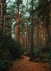 Image by daniel james