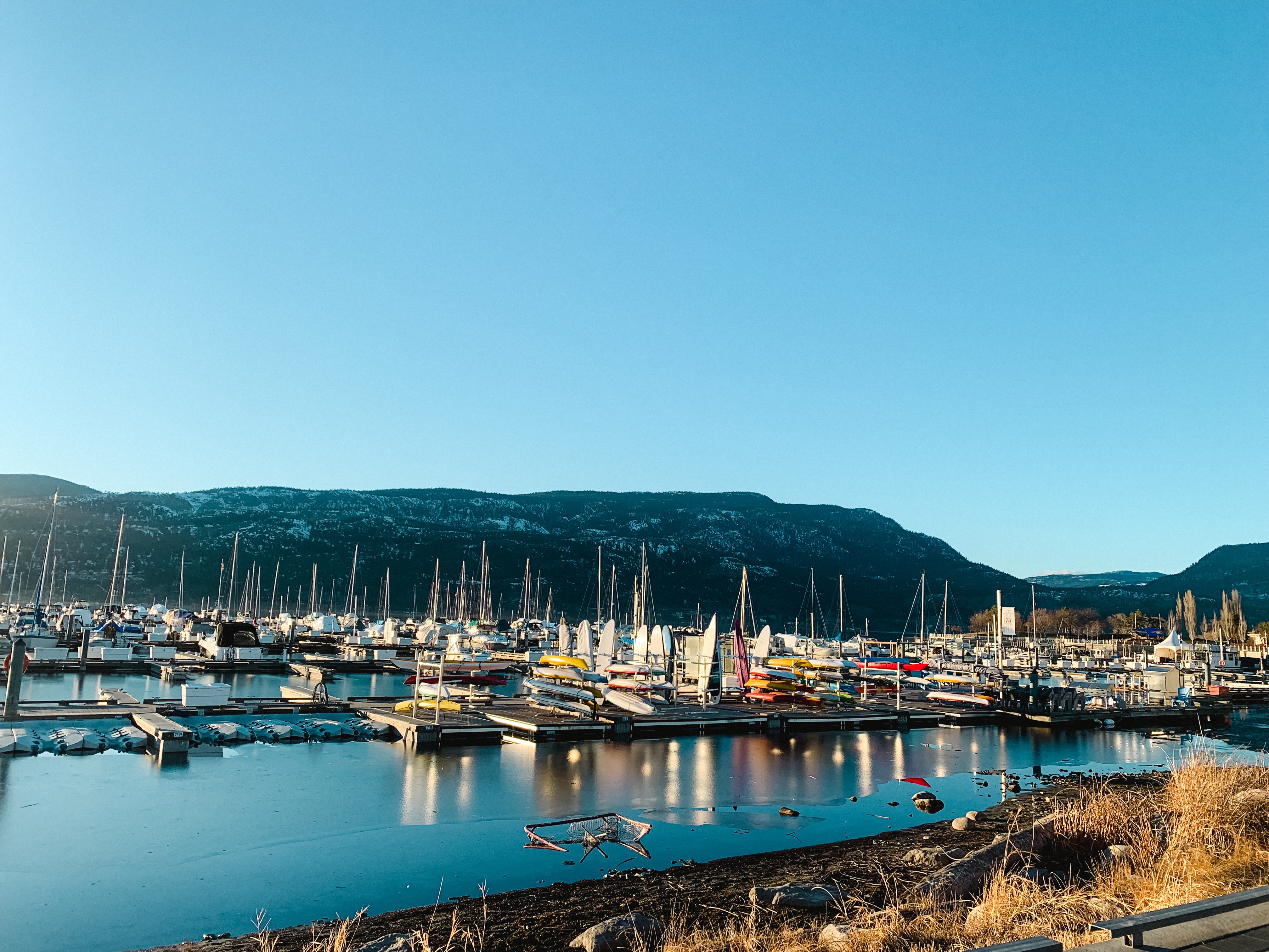 Your Kelowna Small Business Called… It Wants a Boost