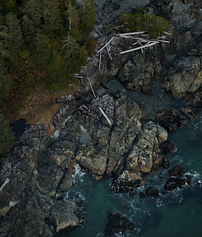 Image by shayd johnson