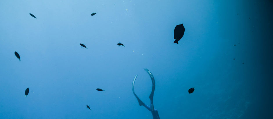 Scuba diver hangs upside down in blue water near a dark reef, surrounded by small fish