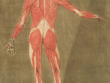 Points gâchettes : Triggers Points