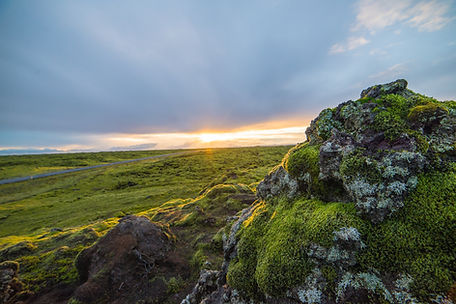 Image by Chris Ried