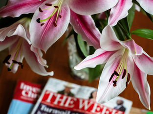 Blomster