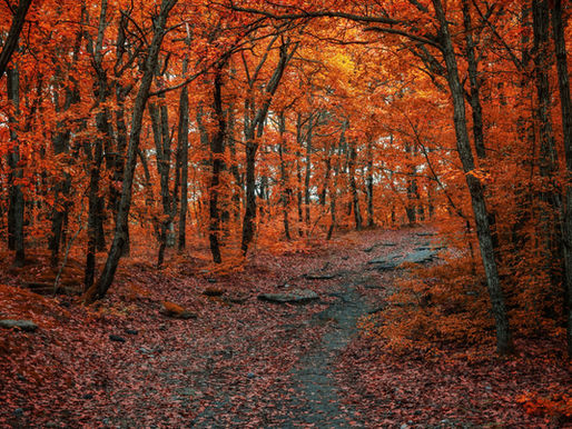 HOROSCOPES & AFFIRMATIONS FOR FIRE SIGNS OCTOBER 7TH - OCTOBER 13TH 2022 UPCOMING WEEK.