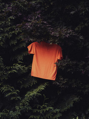 Real Talk | The Inheritance of Truth