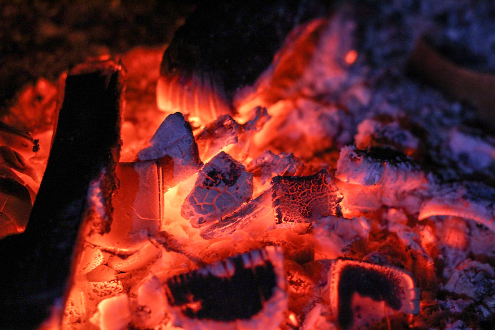 Charcoal as a forestry agribusiness