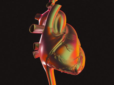 3D rendering of a human heart illustrating coronary anatomy used for CPT 2026 AI codes assessment