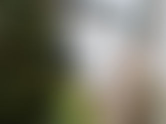 Comment préparer son jardin aux fortes chaleurs dans les Yvelines ?