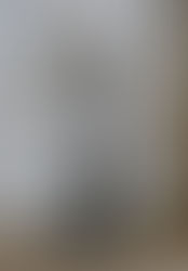 Walking With You Through a Criminal Case