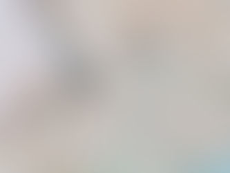 Бортові пристрої OBU та ZSL: Основа сучасної транспортної системи