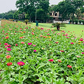 Image by Abhinav Sharma