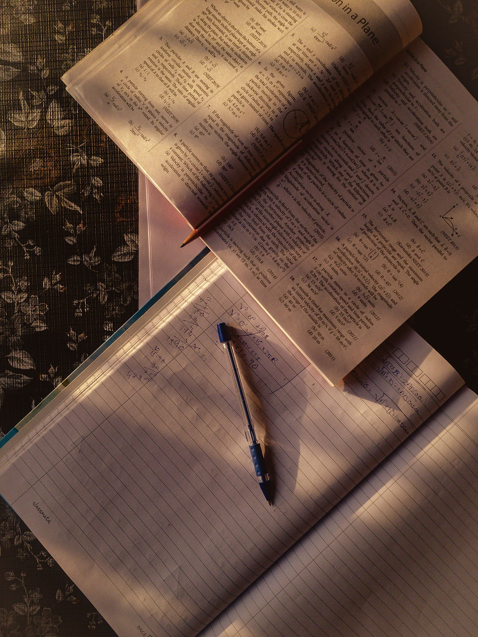 Chapter 1 — Dreams and Goals