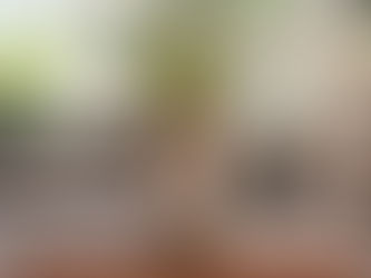 ChatGPT Question of the Day #1