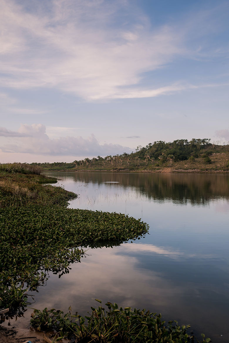 Image by Junior REIS