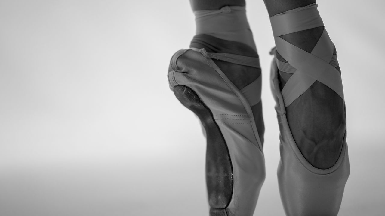Image by Nihal Demirci