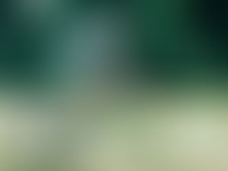 Ungewöhnlicher Unfall: Radfahrer fährt Pferde an – Was passierte wirklich?