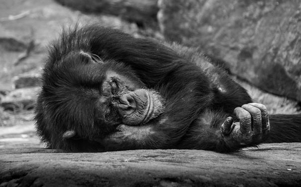 Image by Tarryn Myburgh