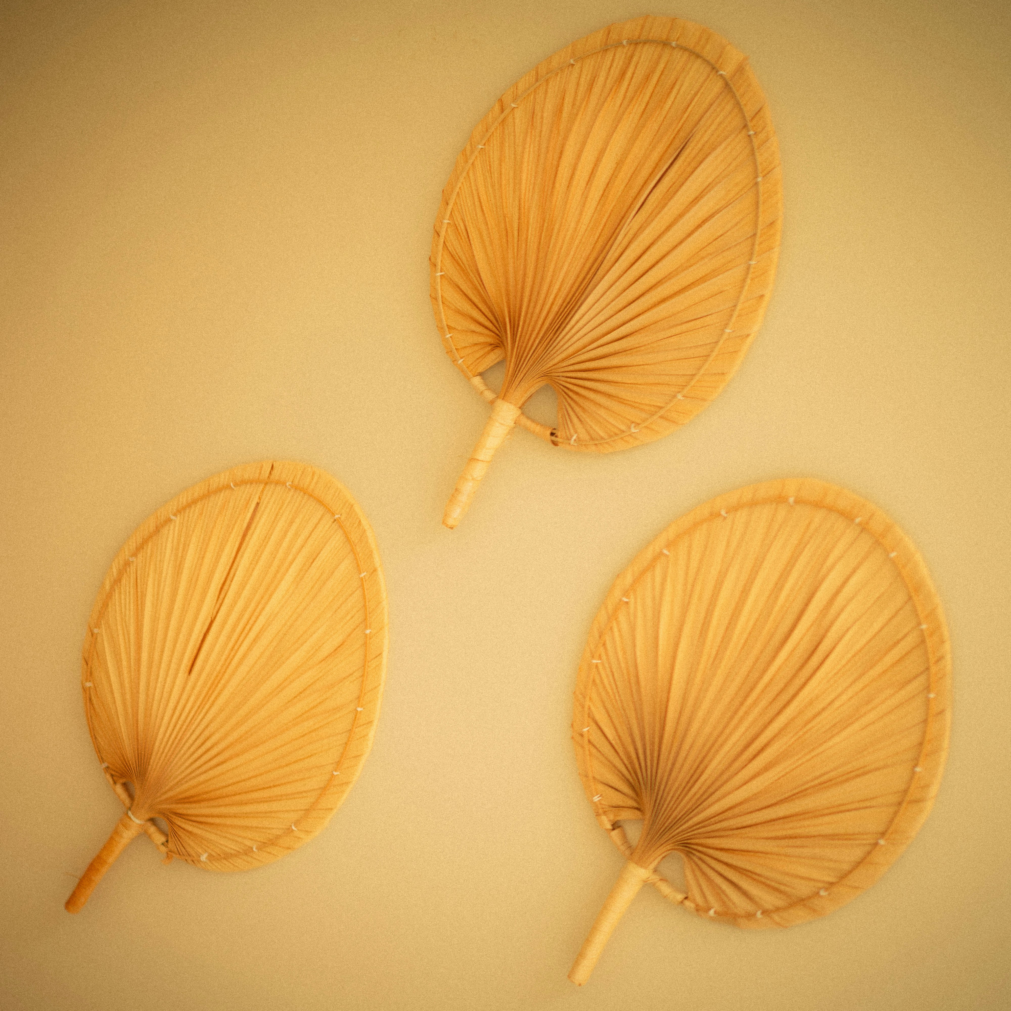 Palm Leaf Homeware