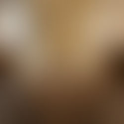 Winchester's Web Wizardry: Agata Business Services For Wix Website Design and SEO Excellence