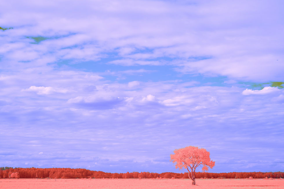 Yoga Nidra for the New Moon in Taurus