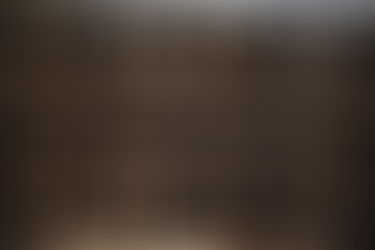 Starting Seeds Successfully: Your Guide to the Perfect Soil Mix