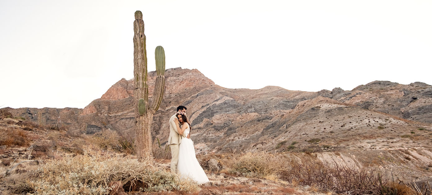 Image by Asdrubal luna