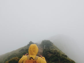 Understanding and Overcoming "Brain Rot": A Guide to Mental Clarity