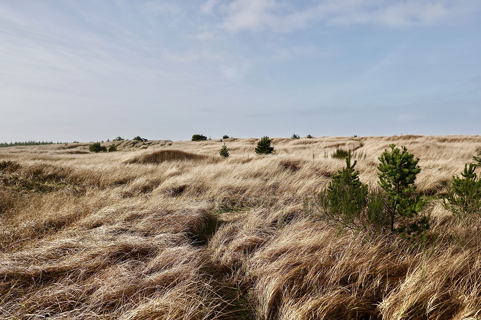 Is the Long Beach Peninsula a Good Short Term Rental Investment, IN