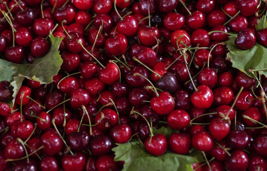 Health Claim Marketing Campaign