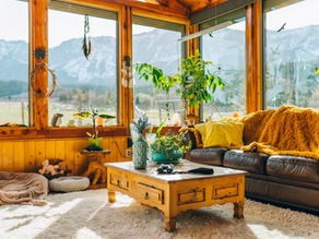 Top 5 Questions about DBT!