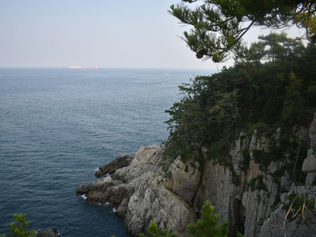 거제 업소 총정리|경남 거제 인기 업소사이트 & 이용 가이드