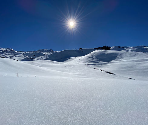 chopta tour packages