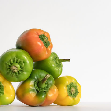 Shedding Light on “Inflammatory” Nightshades