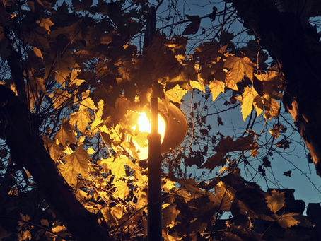 Harvesting Balance: The Equinox as a Mirror for Recovery